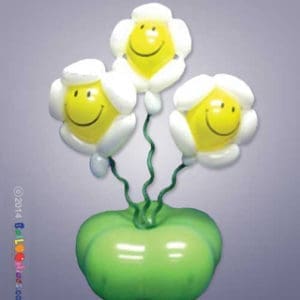 Smiley Face Bouquet